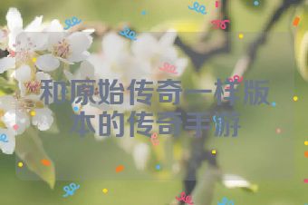 和原始传奇一样版本的传奇手游