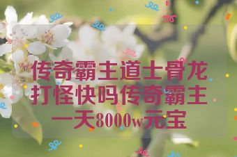 传奇霸主道士骨龙打怪快吗传奇霸主一天8000w元宝