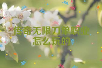传奇无限刀单职业怎么玩的