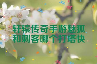 轩辕传奇手游魅狐和刺客哪个打塔快