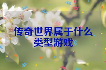 传奇世界属于什么类型游戏