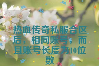 热血传奇私服合区后，相同账号，而且账号长度为10位数