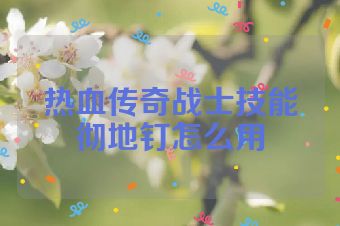 热血传奇战士技能彻地钉怎么用