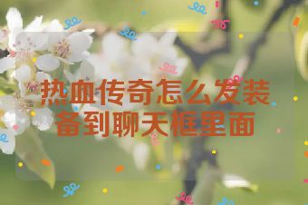 热血传奇怎么发装备到聊天框里面