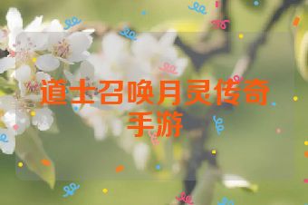 道士召唤月灵传奇手游