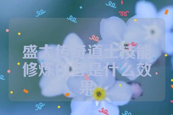 盛大传奇道士技能修炼内容是什么效果