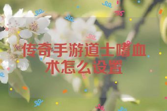 传奇手游道士嗜血术怎么设置