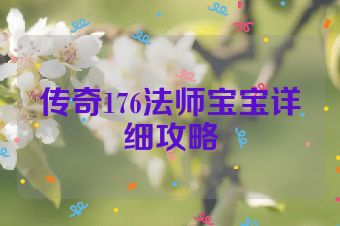 传奇176法师宝宝详细攻略