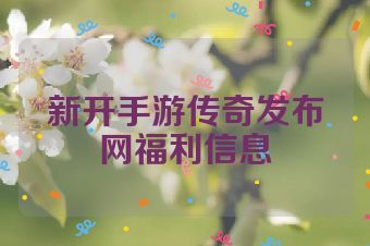 新开手游传奇发布网福利信息