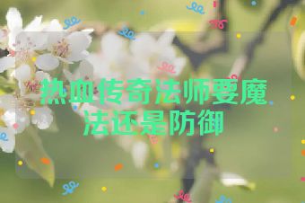 热血传奇法师要魔法还是防御