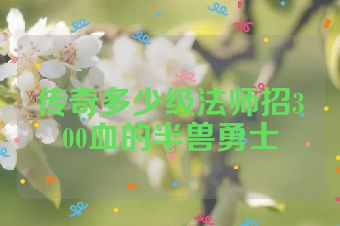 传奇多少级法师招300血的半兽勇士