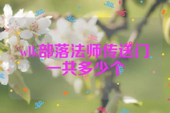 wlk部落法师传送门一共多少个