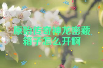 原始传奇神龙密藏箱子怎么开啊