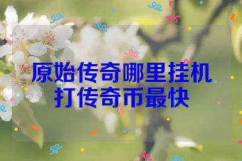 原始传奇哪里挂机打传奇币最快
