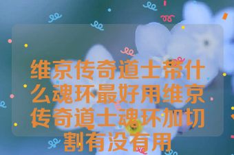 维京传奇道士带什么魂环最好用维京传奇道士魂环加切割有没有用