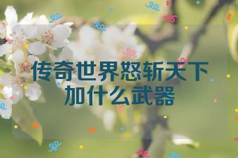 传奇世界怒斩天下加什么武器