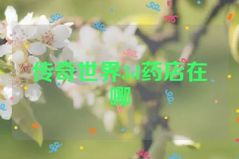 传奇世界3d药店在哪