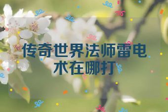 传奇世界法师雷电术在哪打