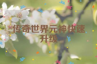 传奇世界元神快速升级