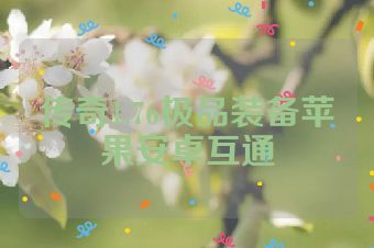 传奇1.76极品装备苹果安卓互通