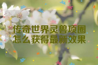 传奇世界灵兽项圈怎么获得最新效果