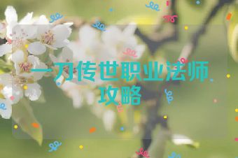 一刀传世职业法师攻略