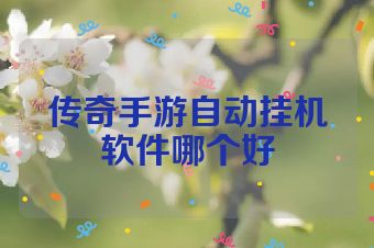 传奇手游自动挂机软件哪个好