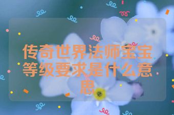 传奇世界法师宝宝等级要求是什么意思