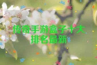 传奇手游盒子十大排名最新