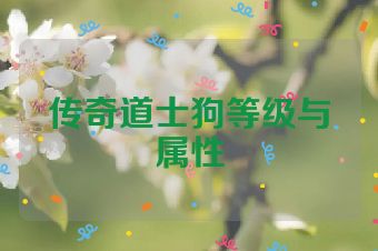 传奇道士狗等级与属性