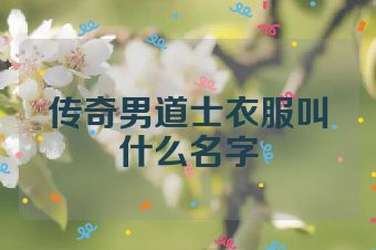 传奇男道士衣服叫什么名字