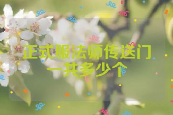 正式服法师传送门一共多少个