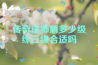 传奇法师盾多少级练三级合适吗