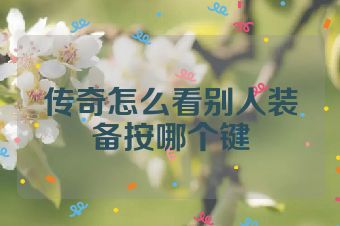 传奇怎么看别人装备按哪个键