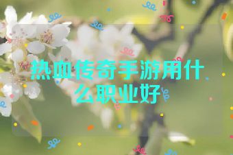 热血传奇手游用什么职业好
