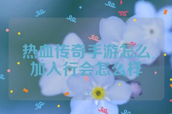 热血传奇手游怎么加入行会怎么样