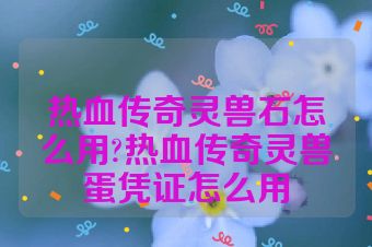 热血传奇灵兽石怎么用?热血传奇灵兽蛋凭证怎么用