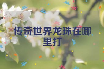传奇世界龙珠在哪里打