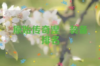 原始传奇涅槃装备排名