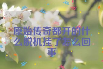 原始传奇都开的什么脱机挂了怎么回事