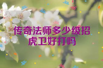 传奇法师多少级招虎卫好打吗