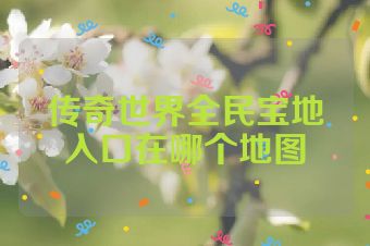 传奇世界全民宝地入口在哪个地图