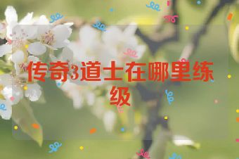 传奇3道士在哪里练级