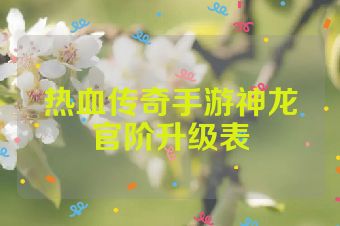 热血传奇手游神龙官阶升级表