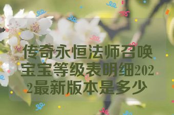 传奇永恒法师召唤宝宝等级表明细2022最新版本是多少