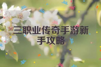三职业传奇手游新手攻略