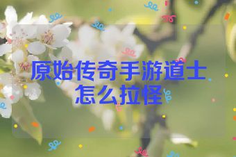 原始传奇手游道士怎么拉怪