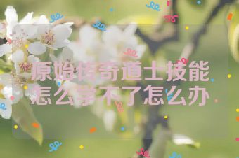 原始传奇道士技能怎么学不了怎么办