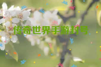 传奇世界手游封号
