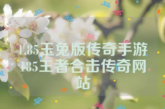1.85玉兔版传奇手游185王者合击传奇网站